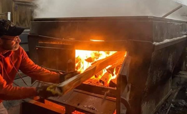 Spring is Sweet, April Maple