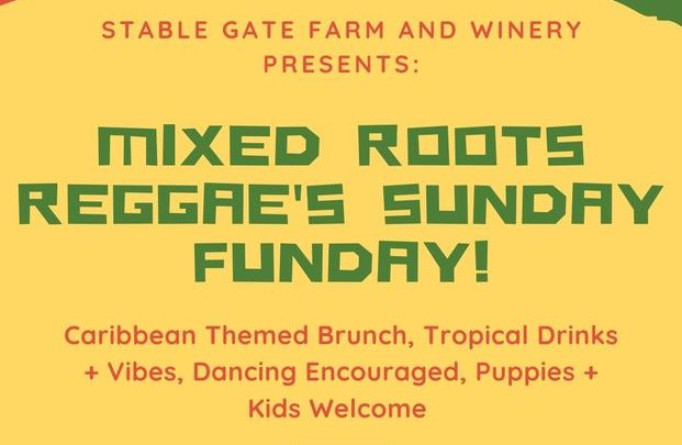Mixed Roots Reggae Sunday Funday